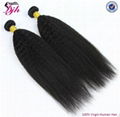 kinky straight hair brazilian human remy