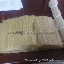 high quality of cattle hair