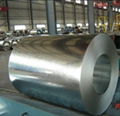 (0.125mm-1.0mm)Galvanzed Steel Coil 1