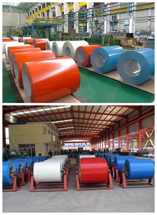 (0.14mm-0.8mm)Prepainted Galvanized Steel Coil 4