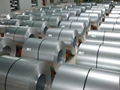 (0.145mm-0.8mm) Galvalume Steel Coil