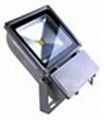 70W High Quality Floodlight 1