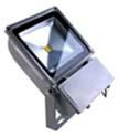 70W High Quality Floodlight