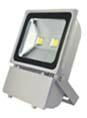 Best Price 100W CE RoHs Floodlight