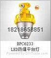 正輝BPC6233-LED40W防爆平臺燈