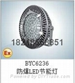 BYC6236-LED80W防爆節能燈正輝廠家型號 1