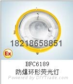 BFC6189-W50防爆環形熒光燈正輝照明型號