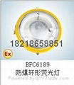 BFC6189-W50防爆环形荧光灯正辉照明型号