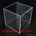 Fashion Acrylic Display Case