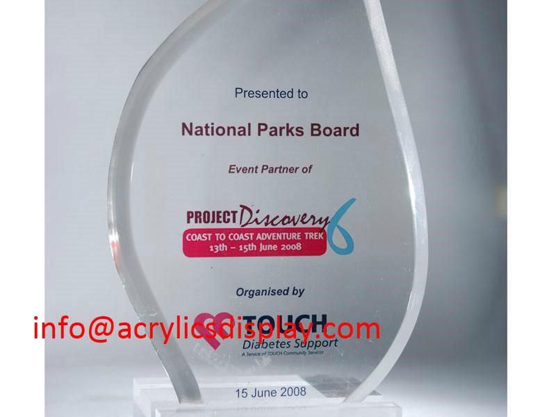 Factory cheep acrylic award,trophy