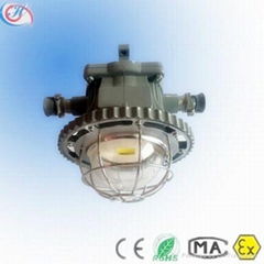 30W 36W Explosion Proof LED Tunnel Lighting for Miner′s