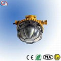 18W-24W Explosion Proof LED Tunnel Lighting, Mining Light 1