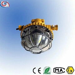 18W-24W Explosion Proof LED Tunnel Lighting, Mining Light