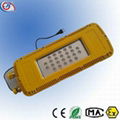 24W 36W 50W 70W 100W Great Brightness LED Explosion Proof Mining Tunnel Light