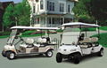 DEL3042G Express 4 Golf Cart With