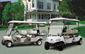 DEL3042G Express 4 Golf Cart With Electric Power