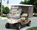 Electric Golf Car With Carrier
