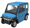 New product! Revolution!Full Enclosed Electric Car 1