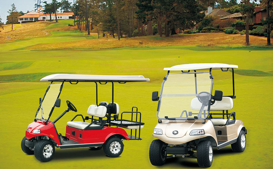 DEL3022GS Favorite Electric Golf Car With Two Seats HDK (United