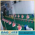 Bangchi High Quality Competitive Price