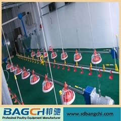 Bangchi High Quality Competitive Price Poultry Farming Equipment for Chicken