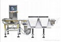 Multistage online weighing conveyor