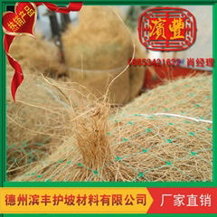 上海綠化景觀生態植草毯 植被墊