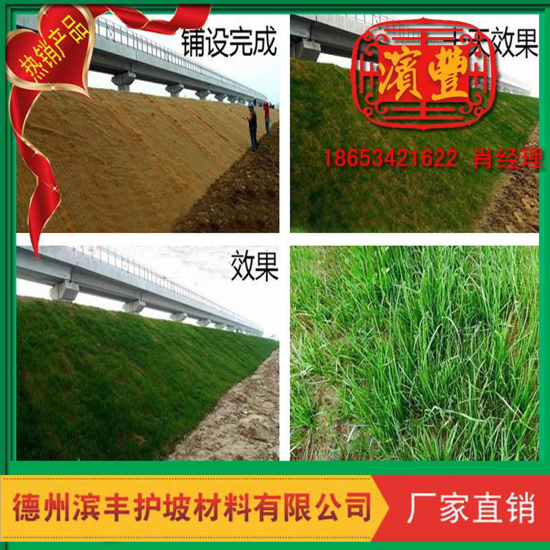 北京天津上海綠化景觀植草毯 護坡生態毯 植被墊