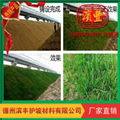 北京天津上海绿化景观植草毯 护坡生态毯 植被垫