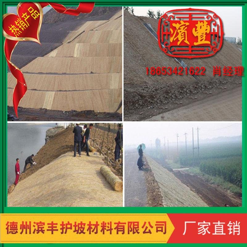北京天津上海綠化景觀植草毯 護坡生態毯 植被墊 2