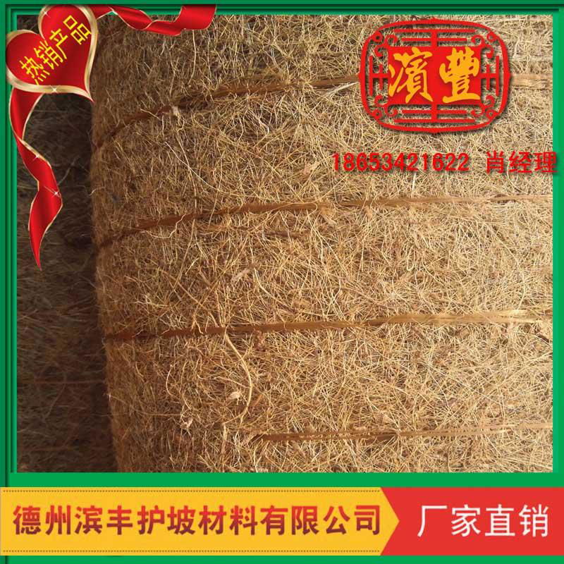 北京天津上海綠化景觀植草毯 護坡生態毯 植被墊 3
