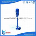 NL vertical centrifugal  Sewage slurry pump 1