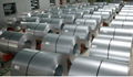 ASTMA53 Galvanized Steel Coil 1