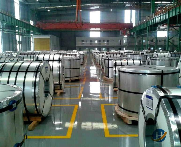  Prime Hot  Galvanized Steel Coil