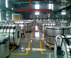  Prime Hot  Galvanized Steel Coil