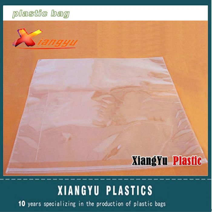 Clear self adhesive bag 2