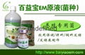 百益宝EM养殖专用菌在养殖上的使用技术 2