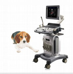 Vet Trolley Ultrasound Scanner K10