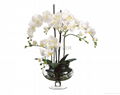 High Quality Real Touch Faux Phalaenopsis Orchid Spray in Glass vase