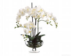 High Quality Real Touch Faux Phalaenopsis Orchid Spray in Glass vase