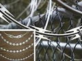 Razor Wire 3