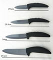 Factory Price Handy Kitchen Knives Set with Best Quality  4