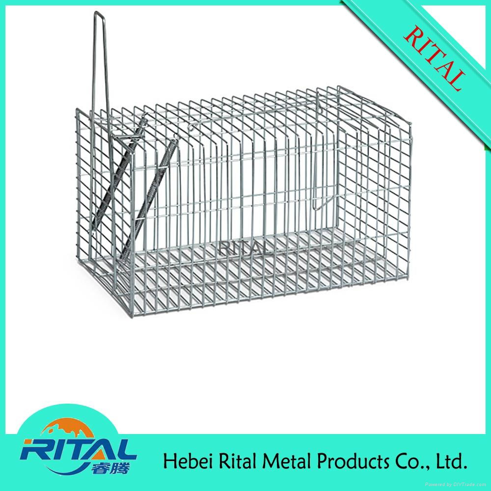 Living Animal Cage Trap 3