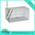 Living Animal Cage Trap 3