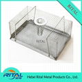 Living Animal Cage Trap 4
