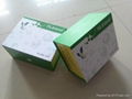 Human chemerin ELISA Kit  (HP10433, TIG2