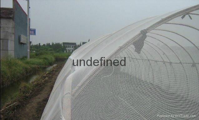 Greenhouse anti aphid net 50x25mesh 4x200m 2