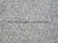 Three Coarse Grain Granite Tiles 