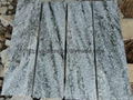 Multicolor green Granite