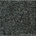 Forest Green Granite  1